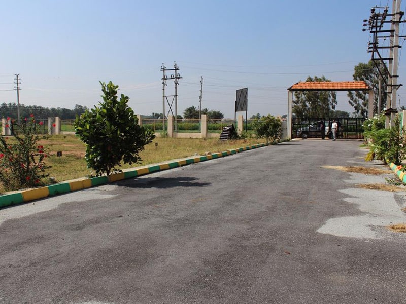 Karunya Aura - Ankhor Associates