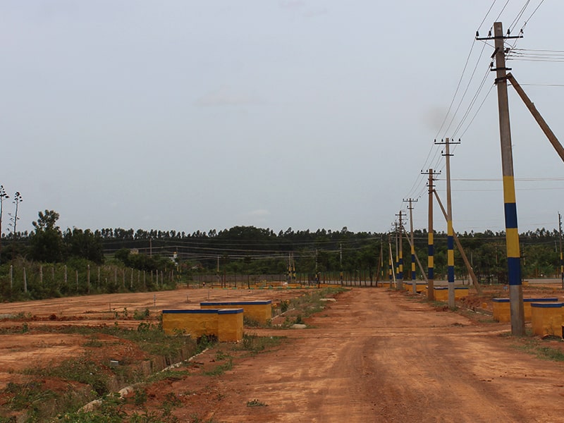 Karunya-Mazel-Tov-05